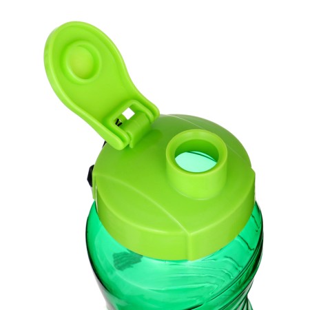 Water bottle, 1 l, 25 x 9 cm, green-1