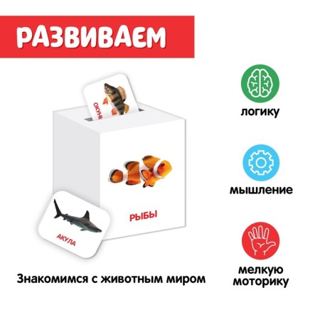 Porter-cap "Animals" according to the methodology of G. Doman-2