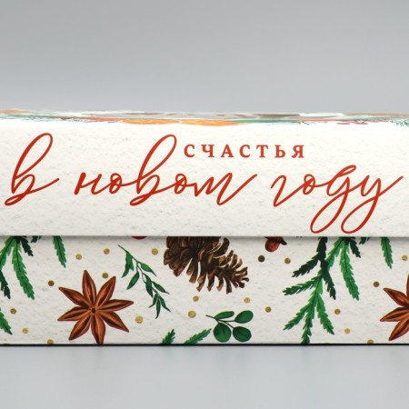 Gift Box "Happiness in the New Year", wreath, 32 x 24 x 9 cm, New Year-3