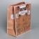 Craft vertical package “Give you”, Ml 23 x 27 x 11.5 cm, New Year