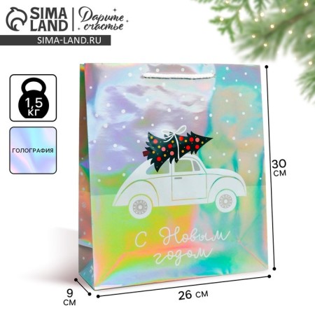 Holographic package “I am in a hurry to you”, m 26 x 30 x 9 cm, new year