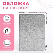 Cover for passport, silver color
