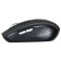 Mouse call 455MW black optical (1600DPI) wireless USB for a laptop (5but)