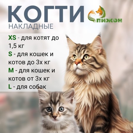 Falled claws "Antizaraps" (20 pcs), size XS, silver with sparkles-1