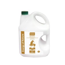 Nutrient shampoo Pchelodar Professional with royal milk and elastin, 1: 4, 5 liters