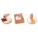 Tescoma Delicia shoulder blades, 3 pcs