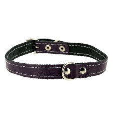 The collar is leather, with a ring in the middle, Osh 20-24 x 1.2 cm, a mix of flowers