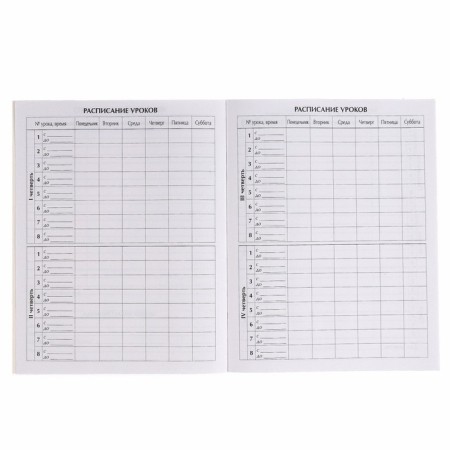 Diary for grade 1-11, in a soft cover, 48 liters, gravity farz-2