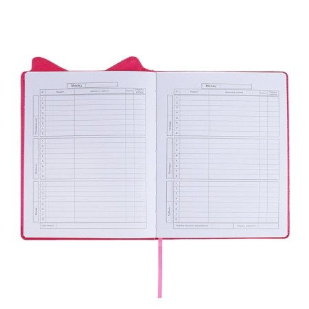 School diary for grades 1-11, boss spitz, firm covered with foam, artificial leather, curly cutting, liesse, universal cheat sheet, 48 sheets, block 80g/m2-6