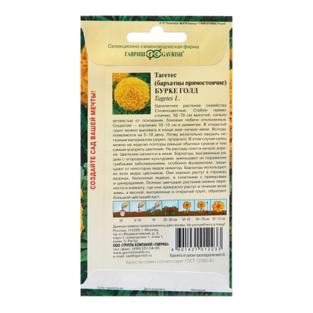 Burke Gold Burke seeds, 0.3 g-1