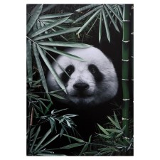 Picture on the canvas 