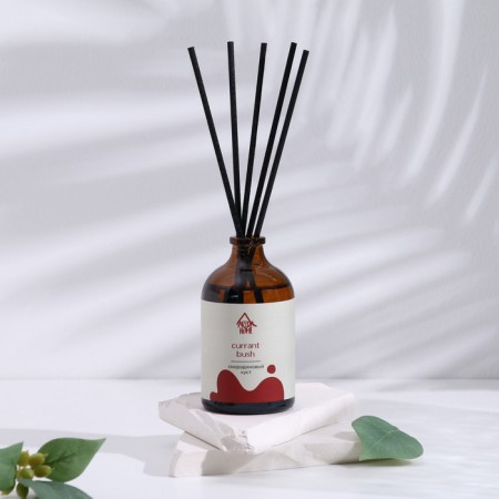 Diffusor aromatic currant bush 100 ml-1