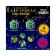 Set for experiments "New Year's garland. Gift ", 10 lamps, 1 mode, white light, 220 V