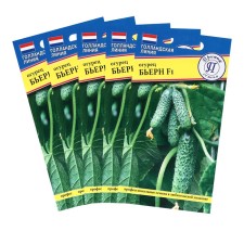 Cucumber seeds 