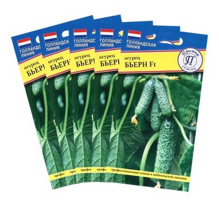 Cucumber seeds "Bjern", F1, set 5 pcs