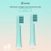 Enchen Mint 5 toothbrushes, in packaging 2 pcs, blue