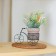 Flower stand “Bicycle”, d = 8 cm, 18 × 10 × 13 cm, black color