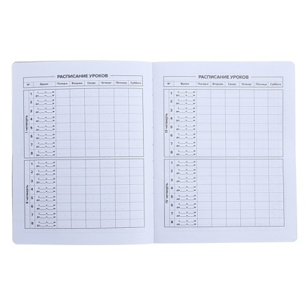 Universal Diary Grade 1-11, 48 sheets "Skateboardist", soft cover of artificial leather, pancake embossing-5