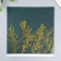 Scrapbooking paper gold "Plant" density 180 g 30.5x32 cm