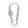 Carabiner Installation.