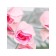 Soap roses, three -color, set of 6 pcs.