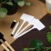 Garden signs for marking, 15 cm, set 10 pcs + marker, plastic, white, Greengo