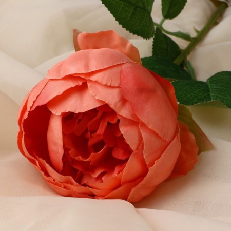 Artificial flowers "Aesthetics" 7x65 cm, peach-1