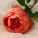 Artificial flowers "Aesthetics" 7x65 cm, peach