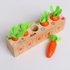 Developing set 