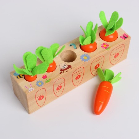 Developing set "Plant different carrots" 20 × 5.5 × 5 cm