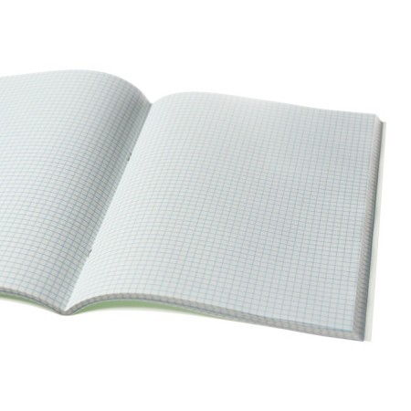 A4 accounting book, 96 sheets in a cage, cardboard cover, blue-4