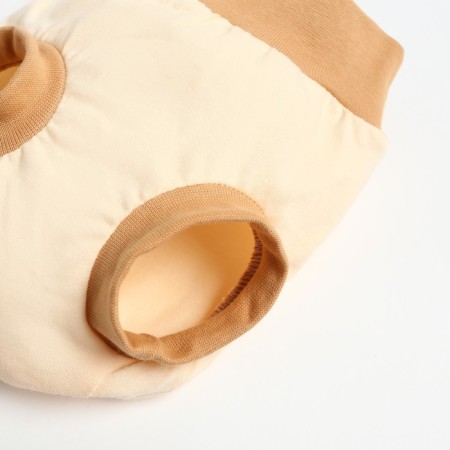 Kit (T -shirt, panties on the diaper) for children, beige color, height 62 cm-4