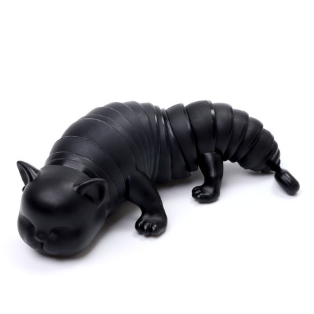 Developing toy "Black Cat"