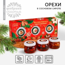 Gift set: “New Year: Magic holidays” Nuts in pine syrup, 90 g (3 pcs. X 30 g).