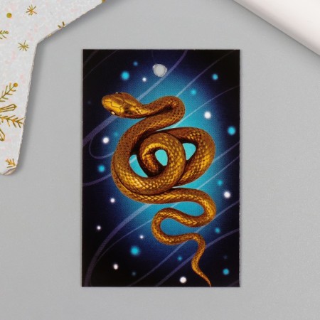 Cardboard "Golden Snake" 4x6 cm
