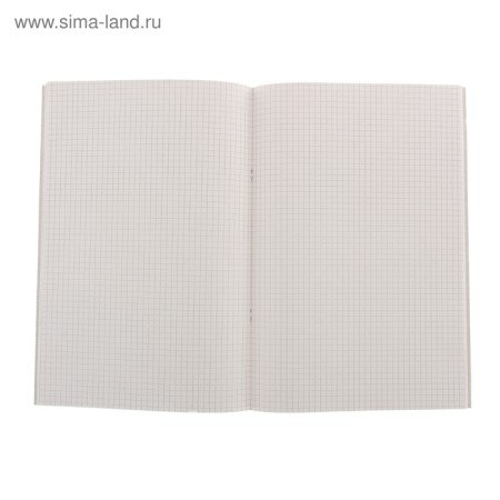 A4 accounting book, 48 sheets, cage, cardboard cover, offset-1