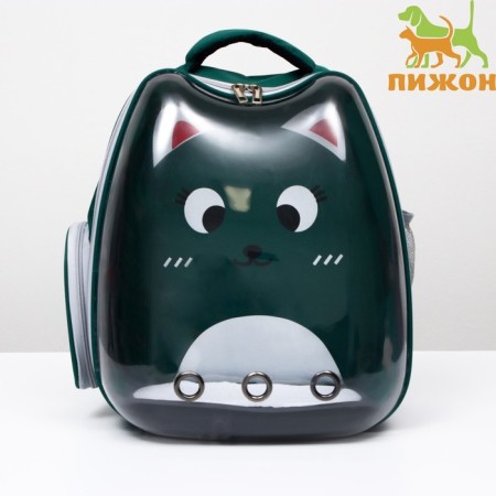 A backpack for carrying animals "cat", transparent, 34 x 25 x 40 cm, green