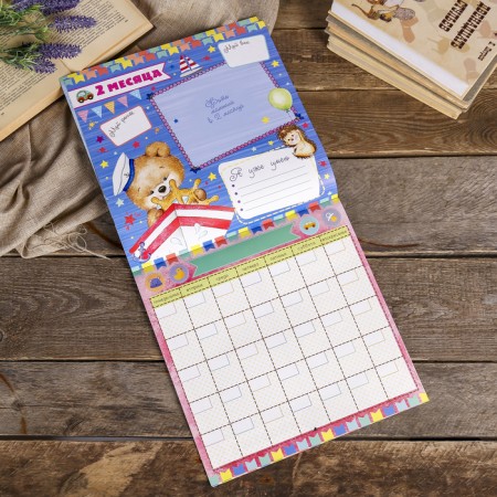 Photo album-calendar "Our baby: first year day after day", 12 sheets-3