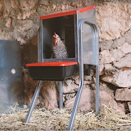 Nest for chickens of layers Platinum, 2 sections, on legs, with an ovum-1