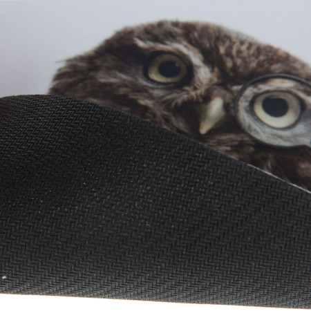 Defender Wild Animals 220x180x2 mm mouse mat, mix-1