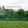 Decorative fence, 34 × 270 cm, 6 sections, plastic, green, "diadem"