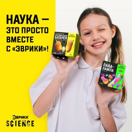 Set for experiments "Potato Battery"-3