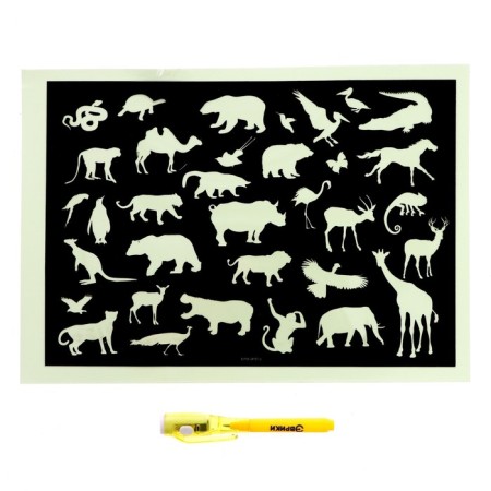 Set for creativity "Light drawings" on a magnetic basis, animals-2