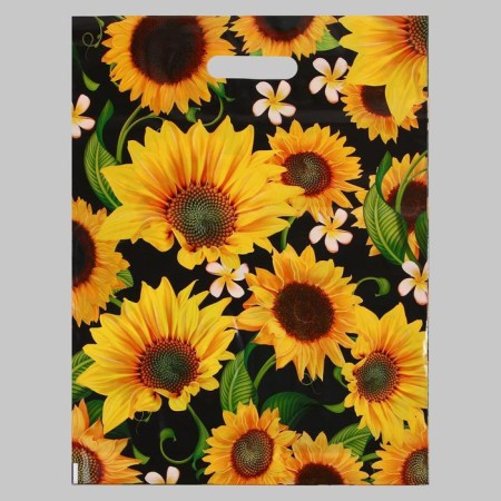 Sunflower package, polyethylene with a cut pen, 60 μm 38 x 47 cm