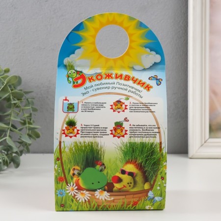 Growing gift Eco -Zhizhivchik "Mukhomor" mix-7