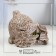 Figure "Owl peeps" beige, 6.5x8x9cm