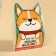 Chewing gum “Who is a good boy here?”, Taste: Tutti-Futti, 50 g.