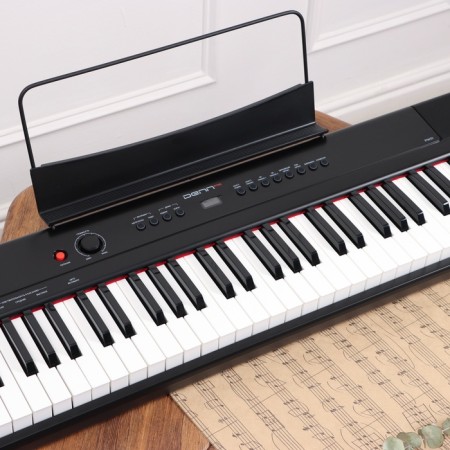 Electronic piano Denn Pro PW01, 8 timbres, polyphony 48 notes, 88 keys-1