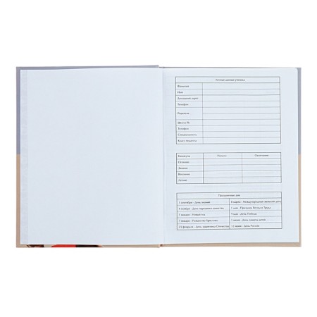 Diary for the Musical Trio music school, 48 sheets, hard cover, matte lamination, selective varnish, offset block-3