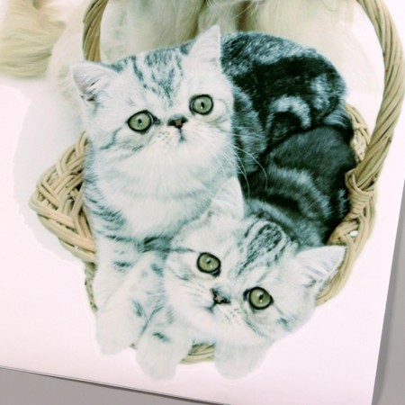 Stick 3D Interior pets 57*40cm-2